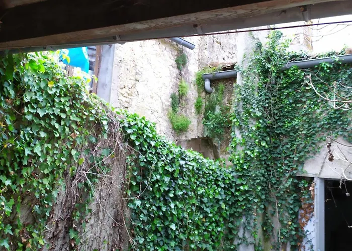 Habitación en casa particular Dans Maison Bourgeoise 1 Personne Airvault